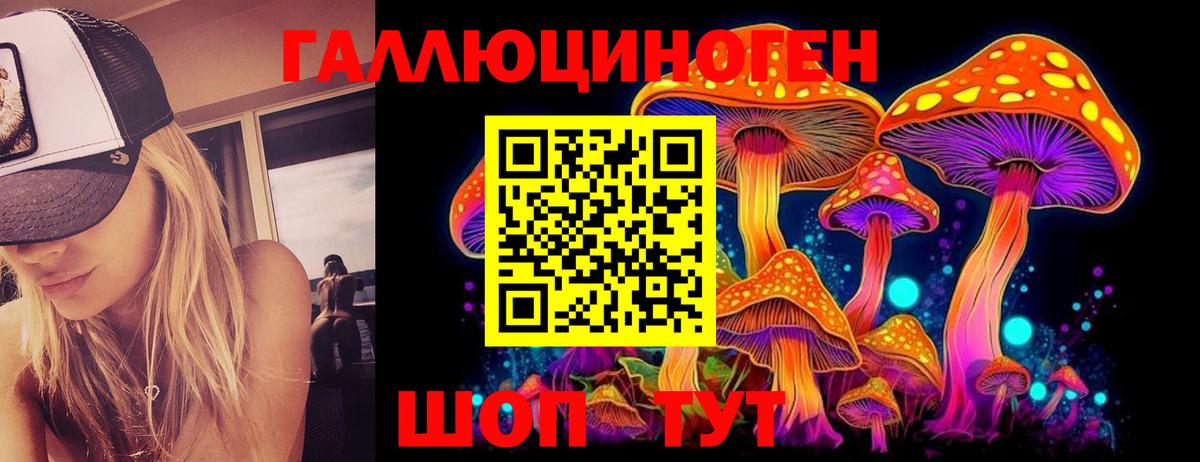 Псилоцибиновые грибы Cubensis Обнинск